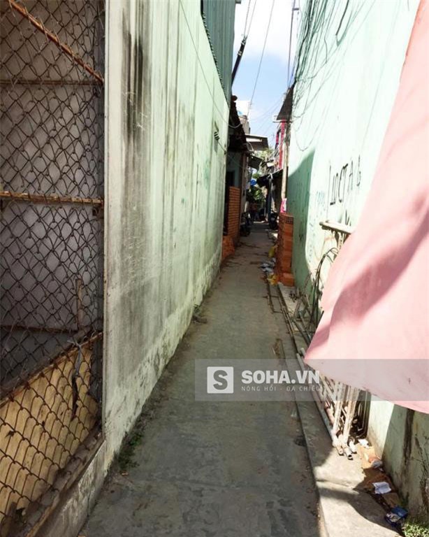 cuộc sống, nghèo khó, Thúy Vi, Phan Thành, Cà Mau