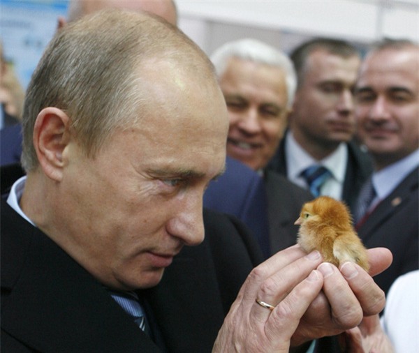 Những khoảnh khắc dịu dàng hiếm có của "người đàn ông thép" Putin - Ảnh 9.
