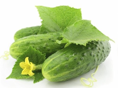 4 sai lầm tai hại khi ăn dưa chuột gần như ai cũng mắc phải - ảnh 1