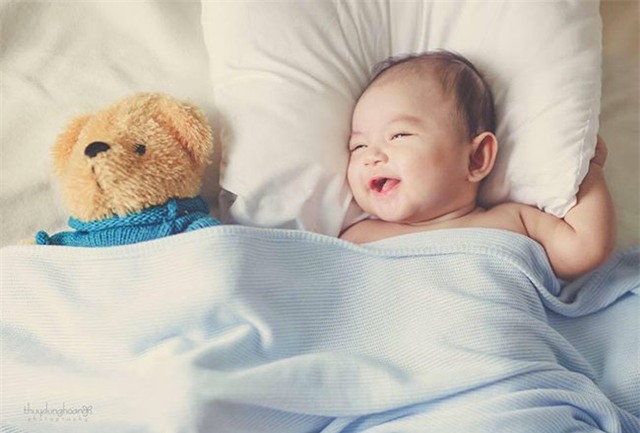 top 5 nhoc ty hot nhat lang giai tri viet nam 2015 hinh anh 2