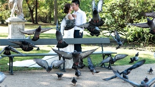 anh cuoi lang man nhu co tich cua diem trang o chau au - 18