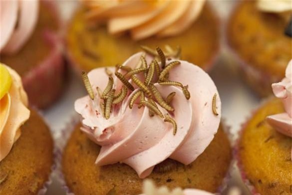 nhung mon an 'nhin da khiep' trong mua giang sinh hinh anh 4