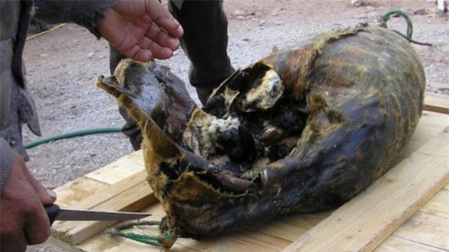 nhung mon an 'nhin da khiep' trong mua giang sinh hinh anh 6