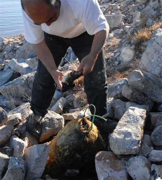 nhung mon an 'nhin da khiep' trong mua giang sinh hinh anh 7