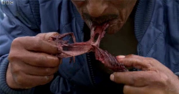 nhung mon an 'nhin da khiep' trong mua giang sinh hinh anh 9