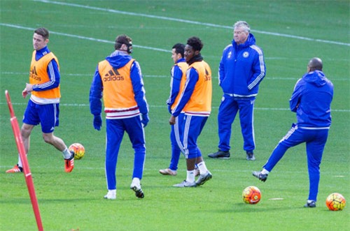 hlv hiddink gủi