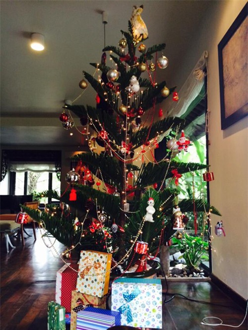 Hình ảnh Sao Việt tưng bừng đón Giáng Sinh 2015 số 4