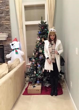 Giang sinh, sao viet