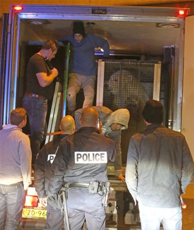 nhung hinh anh ky quac va hai huoc nhat nam qua hinh anh 6