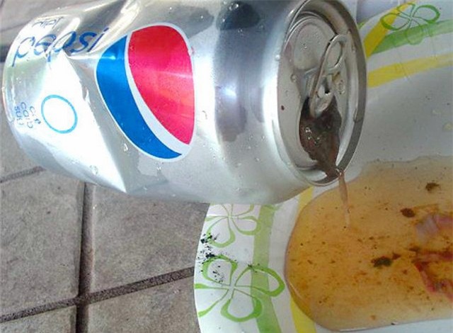 nhung vu “ruoi trong chai” nuoc ngot noi tieng the gioi - 2