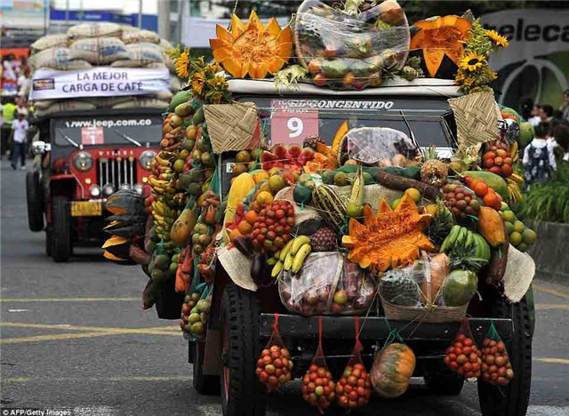 nong dan colombia thi cho