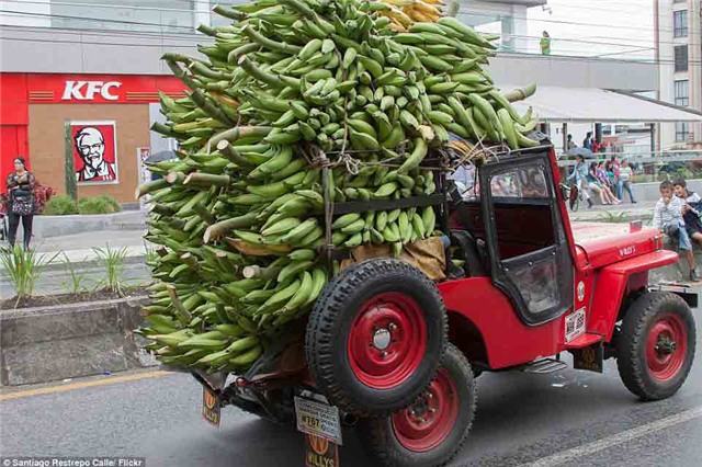 nong dan colombia thi cho