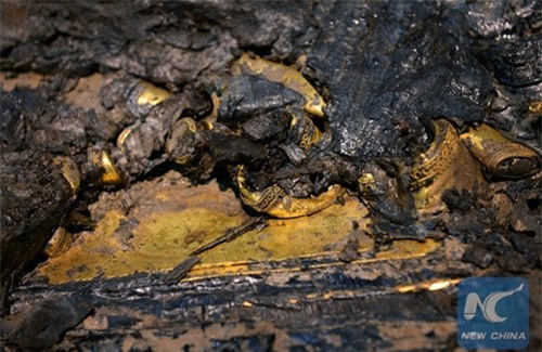 hàng trăm bánh vàng, cổ mộ hoàng đế,