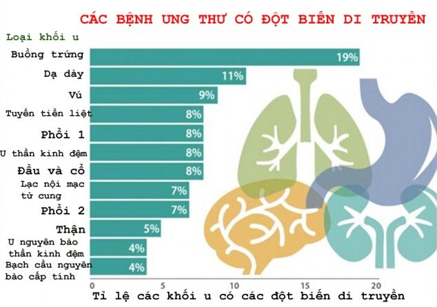 benh ung thu, dot bien, di truyen, ung thu vu, Angelina Jolie, bệnh ung thư, đột biến, di truyền, ung thư vú, ung thư dạ dày, lạc nội mạc tử cung