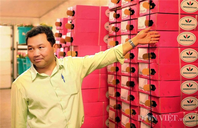 vao trang trai hoa da lat xem quy trinh dong goi ngo nhu chau au hinh anh 6