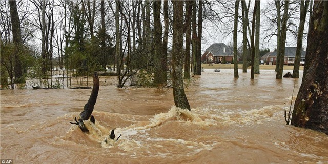 anh: my oan minh duoi bao kem loc xoay, 23 nguoi chet hinh anh 6