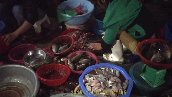 chợ cá ươn thối, chợ cá, cá ươn thối, phù phép, hôi thối, chợ-cá-ươn-thối, chợ-cá, cá-ươn-thối, phù-phép, hôi-thối