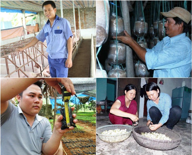 nhung cu nhan, thac sy bo bang ve que… lam nong hinh anh 1