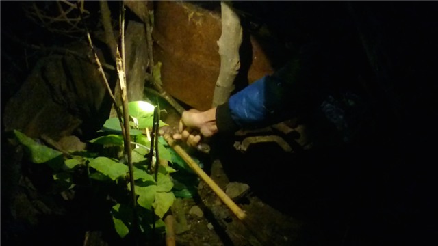 săn chuột cống, Hà Nội, đặc sản chuột cống, chuột đồng, săn chuột, thịt chuột đồng, săn chuột đồng, săn-chuột-cống, Hà-Nội, đặc-sản-chuột-cống, chuột-đồng, săn-chuột, thịt-chuột-đồng, săn-chuột-đồng