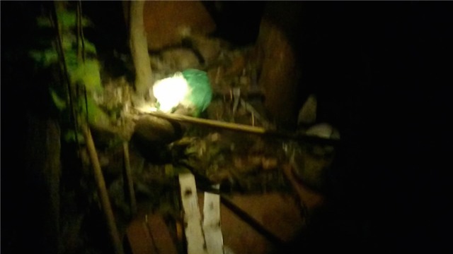 săn chuột cống, Hà Nội, đặc sản chuột cống, chuột đồng, săn chuột, thịt chuột đồng, săn chuột đồng, săn-chuột-cống, Hà-Nội, đặc-sản-chuột-cống, chuột-đồng, săn-chuột, thịt-chuột-đồng, săn-chuột-đồng