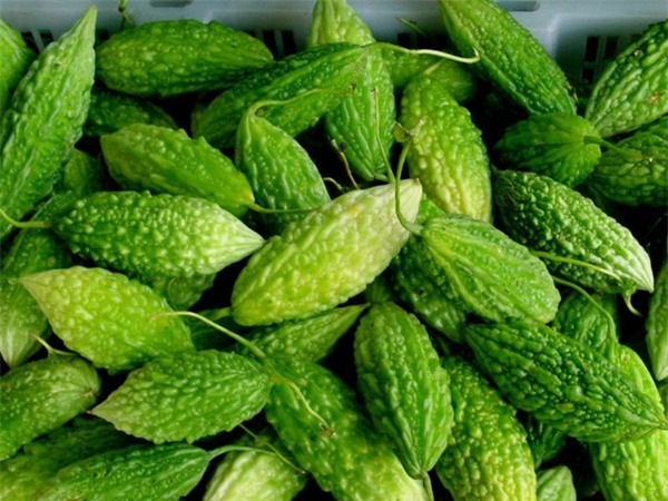 Lợi ích khác của mướp đắng: Phòng chống ung thư