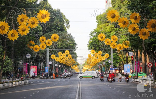 duongpho2