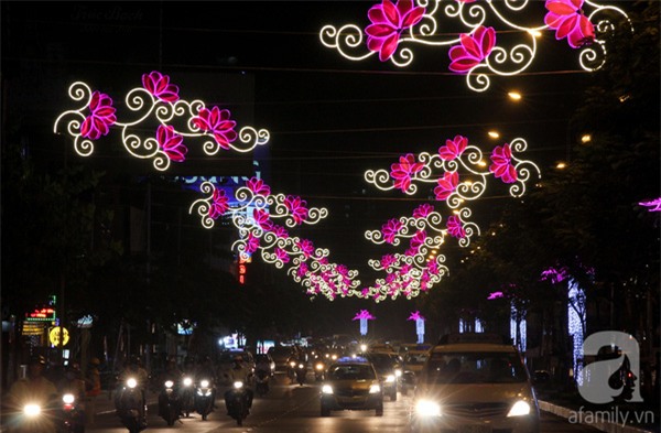 duongpho19