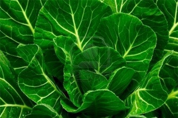 Rau cải bẹ và những công dụng đối với sức khỏe-3