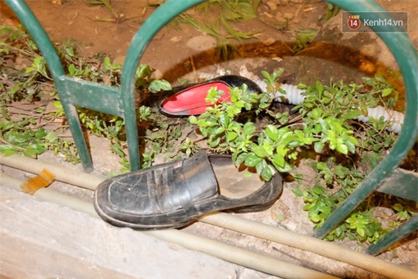 Cây cỏ nát tươm, hàng rào gãy đổ, giày dép thất lạc tứ tung... sau đêm chen lấn chào năm mới - Ảnh 1.