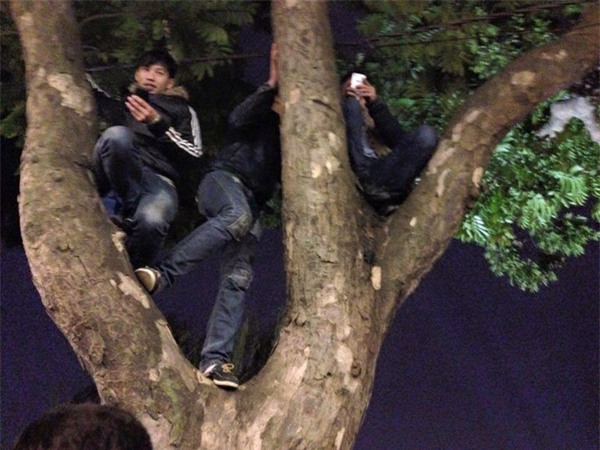 Cây cỏ nát tươm, hàng rào gãy đổ, giày dép thất lạc tứ tung... sau đêm chen lấn chào năm mới - Ảnh 4.