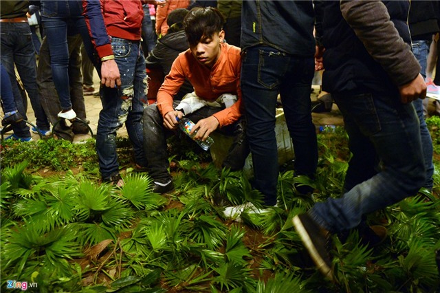 Ngất xỉu hàng loạt vì chen lấn giẫm đạp đón năm mới