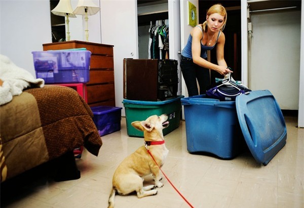 Những dịch vụ tranh thủ 'chặt chém' ngày Tết Dương lịch 2016