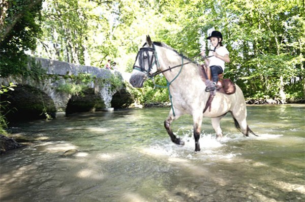 Ngôi trường xa hoa nhất thế giới sang trọng như thế nào