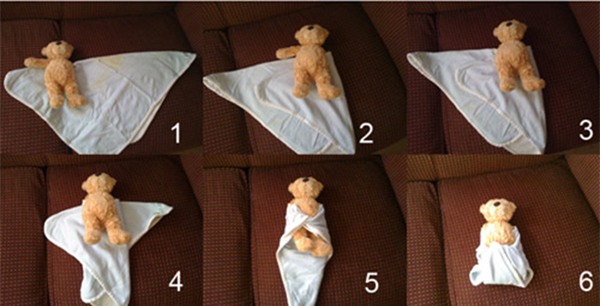 ha-sot-blogtamsuvn (5)