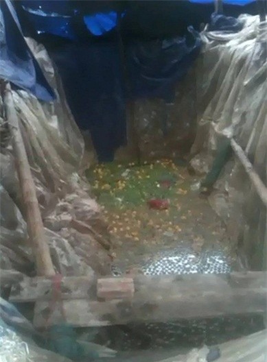 ô mai, thực phẩm bản, ô mai bẩn, ô-mai, thực-phẩm-bản, ô-mai-bẩn