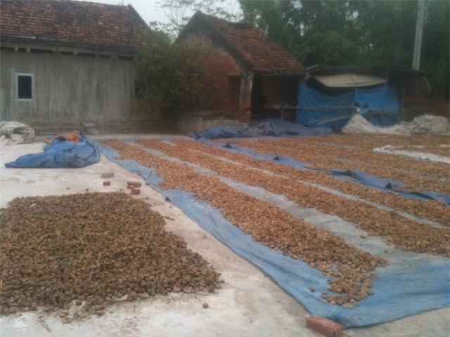 ô mai, thực phẩm bản, ô mai bẩn, ô-mai, thực-phẩm-bản, ô-mai-bẩn