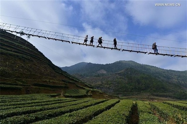 Cầu không đáy hút khách bạo gan ở Trung Quốc
