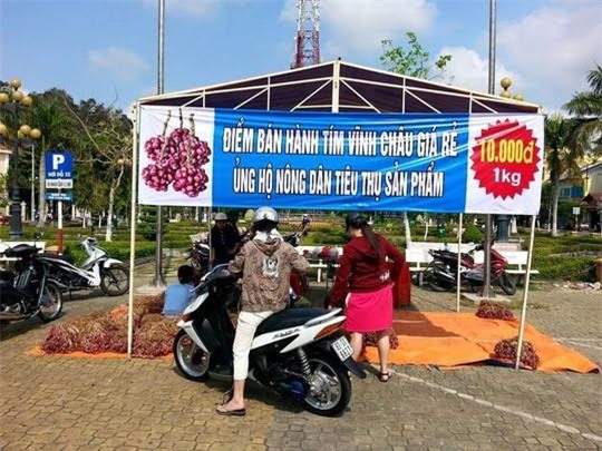 giải cứu, nông sản, hành tím, dưa hấu, chuối tiêu hồng, chợ bầu bí, tình thương, Bộ Công thương, mua ủng hộ, nông sản đổ cho bò ăn Giải-cứu, nông-sản, hành-tím, dưa-hấu, chuối-tiêu-hồng, chợ-bầu-bí, tình-thương, Bộ-Công-thư