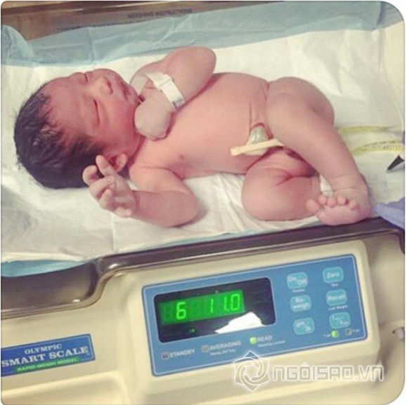 Hình ảnh con Ngọc Quyên 1