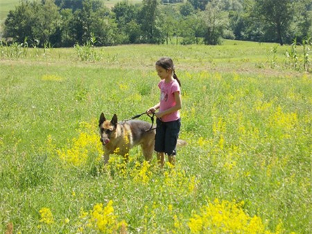 Đặng Tố Nga, giảng viên, dạy con, kiến trúc sư, ĐH Kiến trúc Hà Nội