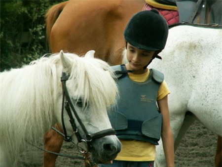 Đặng Tố Nga, giảng viên, dạy con, kiến trúc sư, ĐH Kiến trúc Hà Nội