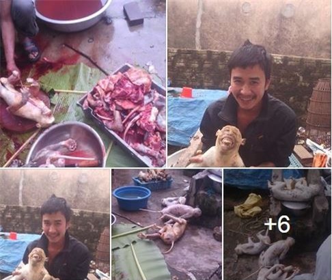 giết khỉ, khoe trên facebook, giết khỉ dã man