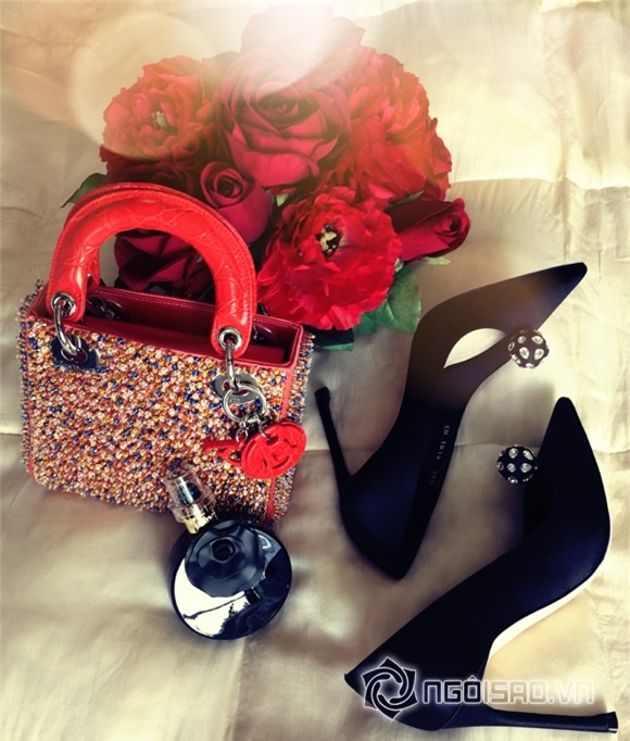 Ngọc Trinh diện đồ 200 triệu 1