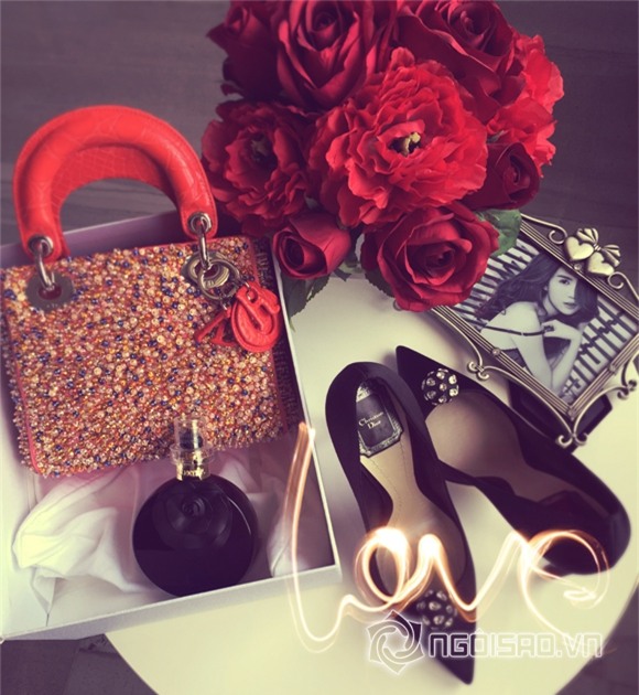 Ngọc Trinh diện đồ 200 triệu 0