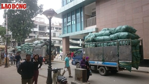 rác thải, rác thải y thế, bệnh viện, bạch mai, độc hại, rác-thải, rác-thải-y-tế, bệnh-viện, bạch-mai, độc-hại