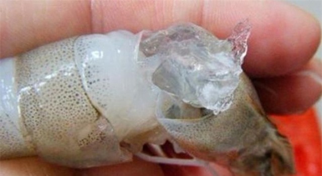 trung quốc, tôm chết, phù phép, tôm tươi, người tiêu dùng, trung-quốc, tôm-chết, phù-phép, tôm-tươi, người-tiêu-dùng