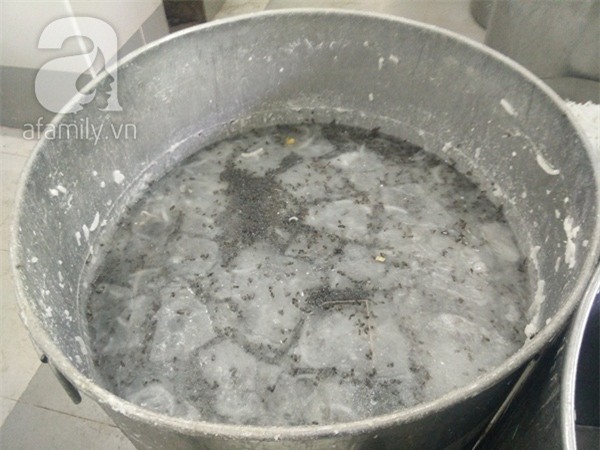 Những lò sản xuất mứt Tết chỉ nghĩ đến đã rùng mình