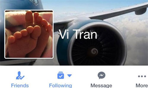 người Việt ở Úc bị lừa mua vé máy bay giả, du học sinh bị lừa mua vé máy bay, Vi Tran