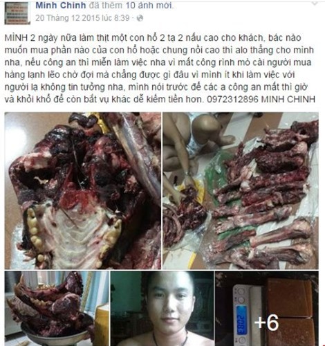 Rao bán hổ, gấu trên Facebook, kiểm tra chỉ ra… xương chó - 1