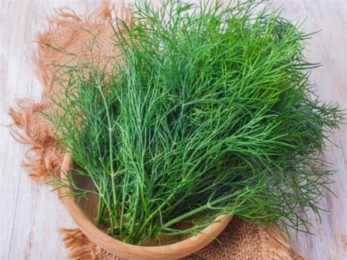 hôi miệng, ccahs chữa, buổi sáng